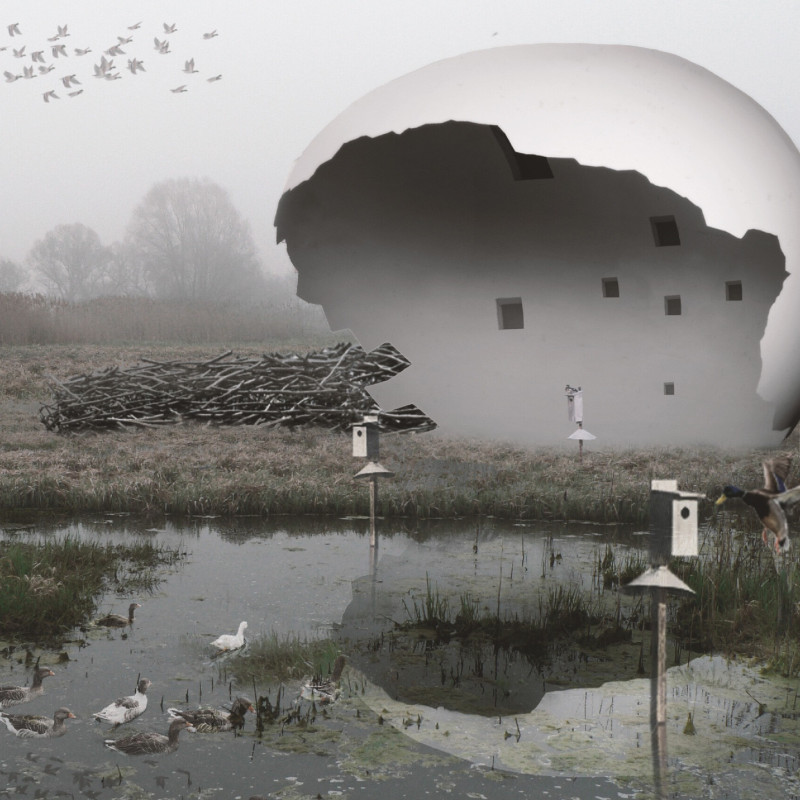 Ecological Birdwatching Tower Featuring Kingspan and Troldtekt in a Curved Egg Shape