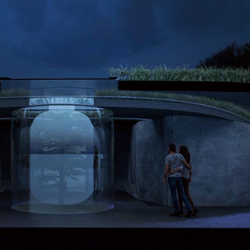 Curvilinear Forms Enhanced by Natural Light and Integrated Vegetation in a Sustainable Residential Structure