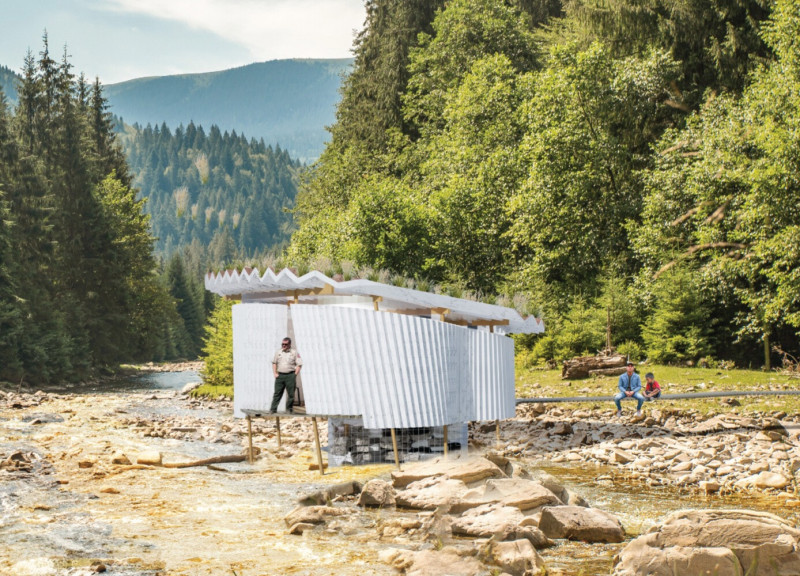 Mycelium Structures Integrating Forest Ecosystems Through Sustainable Housing Solutions