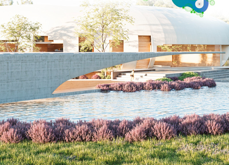 Textured Concrete and Natural Light Shaping a Tranquil Healing Space