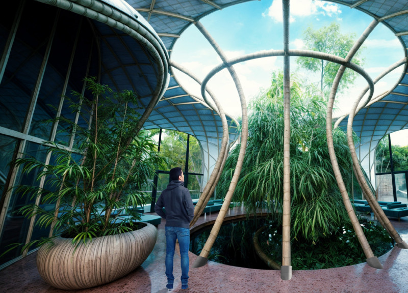 Guadua Bamboo Framework Enhanced by Natural Light and Healing Gardens in Holistic Care Facility