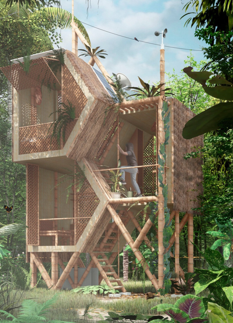 Bamboo-Frame Structure Nestled Within Rainforest Canopy Featuring Natural Thatch Roofing and Sustainable Design