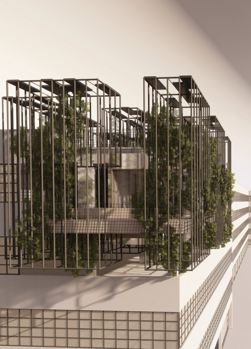 Charred Wooden Shingles and Cross-Laminated Timber Define Sustainable Urban Living Spaces