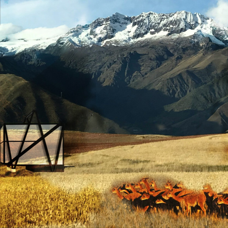 Charred Wooden Shingles Complementing Cross-Laminated Timber Panels in Sustainable Modular Living