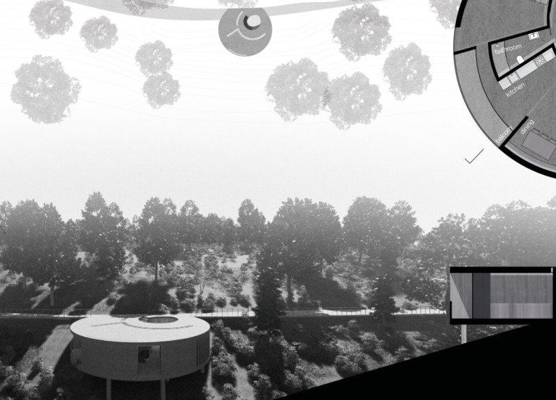 Natural Light and Concrete Harmony in a Circular Residential Shelter