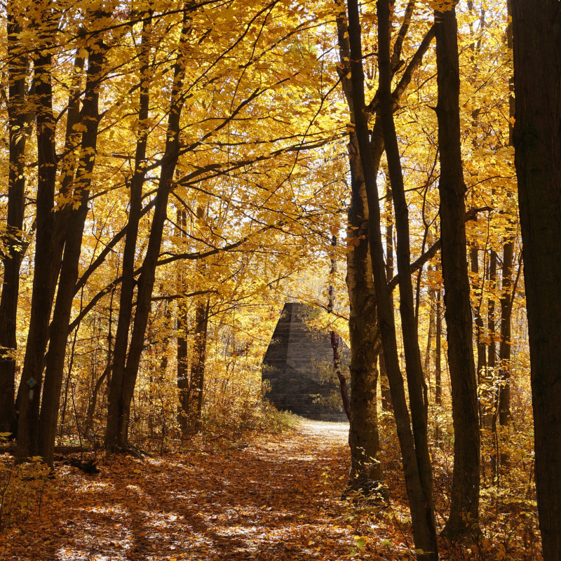 Pentagonal Pavilion Embracing Nature Through Textured Concrete and Warm Timber Elements