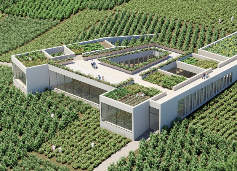 Charred Wooden Shingles and Landscaped Green Roofs in a Community-Centric Palliative Care Facility