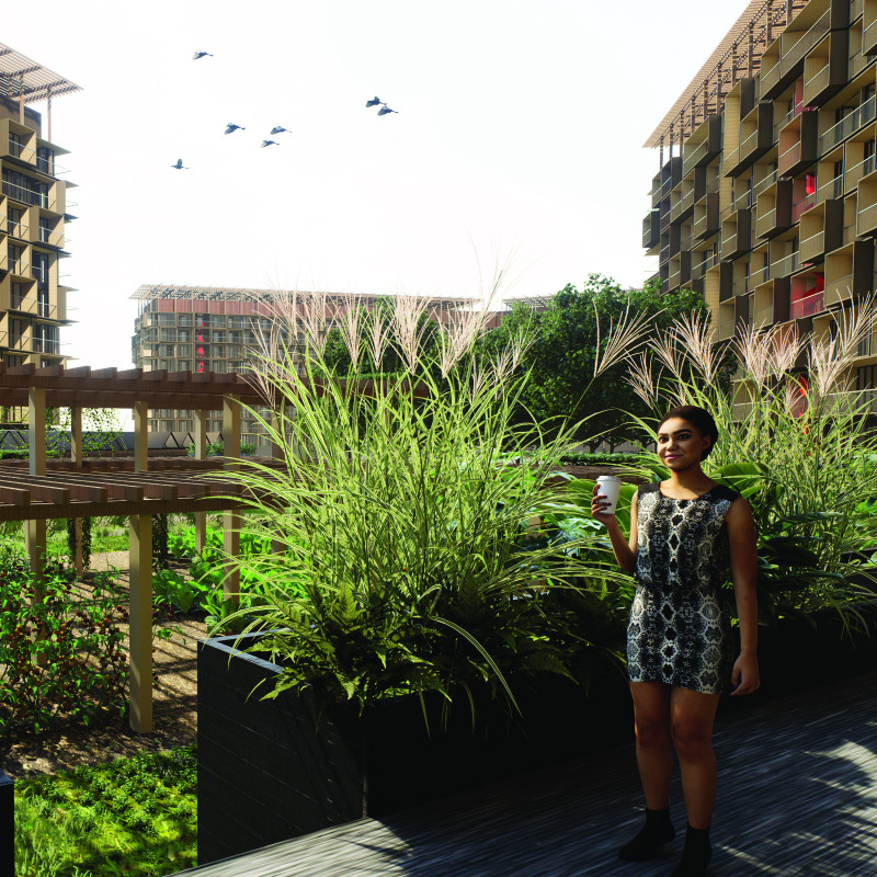 Charred Wooden Shingles and Cross-Laminated Timber Panels Elevate Community Spaces in Sustainable Architecture