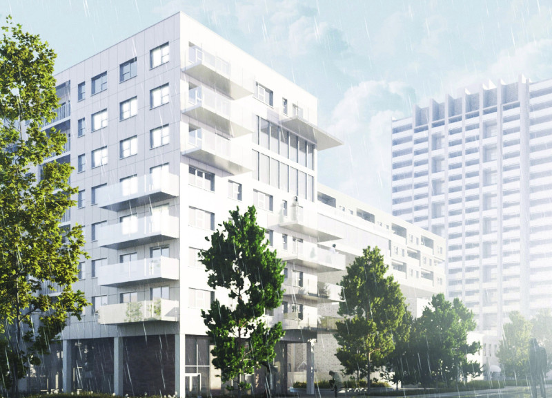 Charred Wooden Shingles and Green Roofs in a Multi-Functional Urban Ecosystem