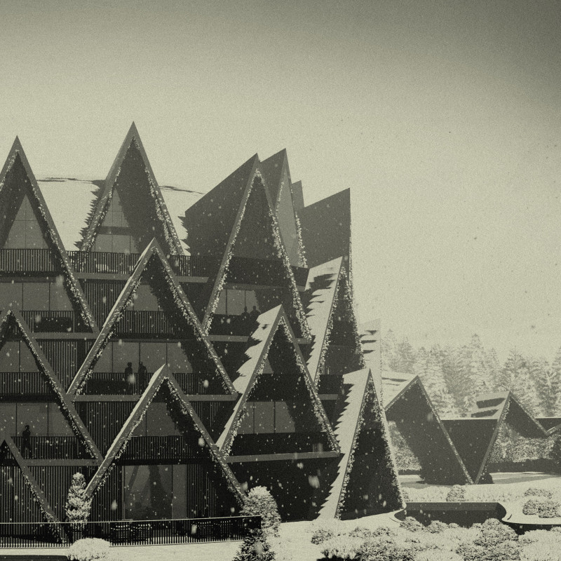 Curved Roof Structure Crafted with Charred Wood and Expansive Glass Elevates Eco-Friendly Retreat Experience