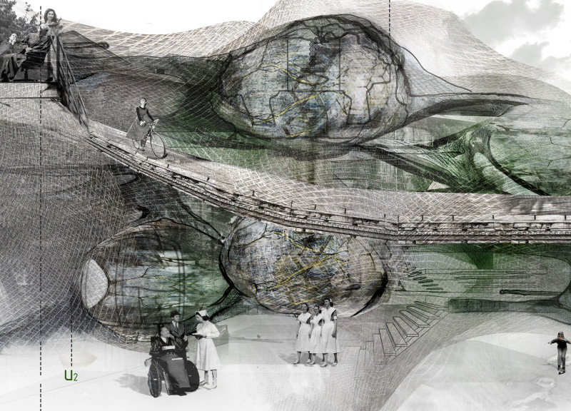 Biophilic Design with Mobile Treatment Units and Transparent Glass in a Community-Focused Healthcare Facility