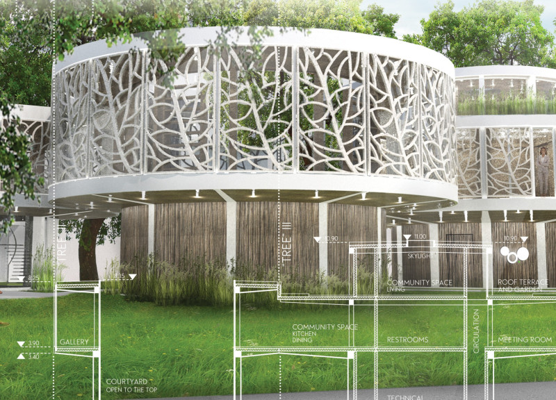 Cross-Laminated Timber Panels Embrace Nature in a Sustainable Community Hub