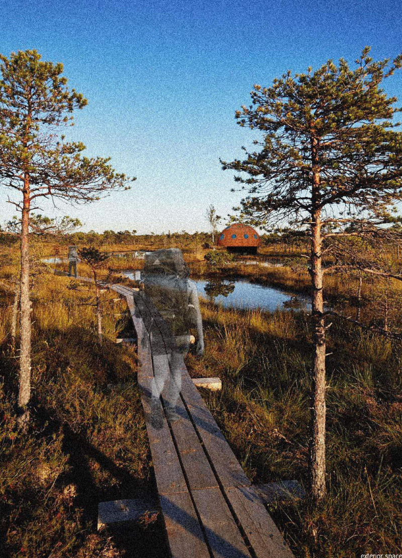 Elevated Timber Cabins with Circular Design Inspired by Local Flora