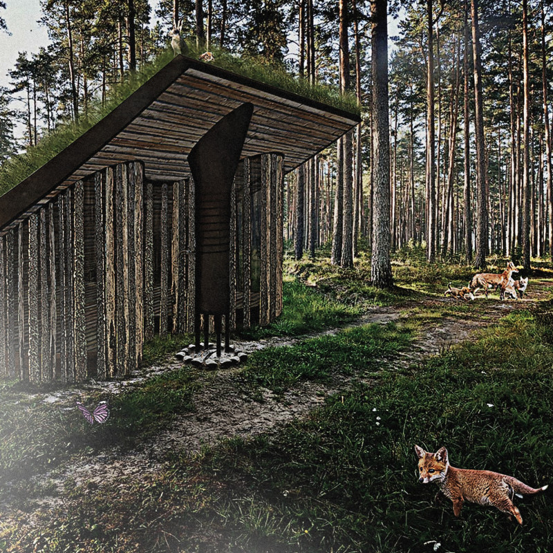 Elevated Living Space with Walkable Roof and Natural Insulation Elements