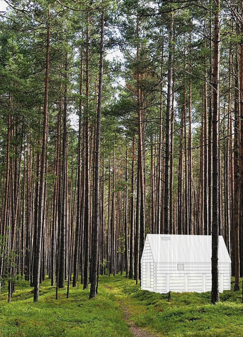 Elevated Cabin Constructed with Interlocking Wooden Techniques and Natural Insulation Systems