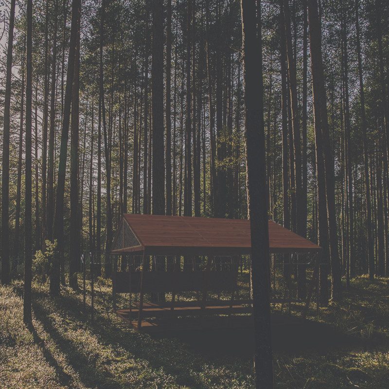 Charred Wooden Shingles and Local Oak Create a Sustainable Retreat in the Latvian Forest