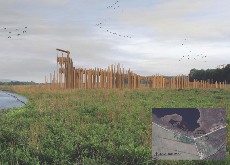 Curvilinear Observation Tower Crafted from Sustainably Sourced Timber and Eco-Friendly Materials