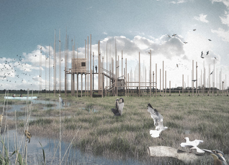 Palafitte Structure with Charred Wood Shingles Enhancing Biodiversity Observation in Wetland Habitat