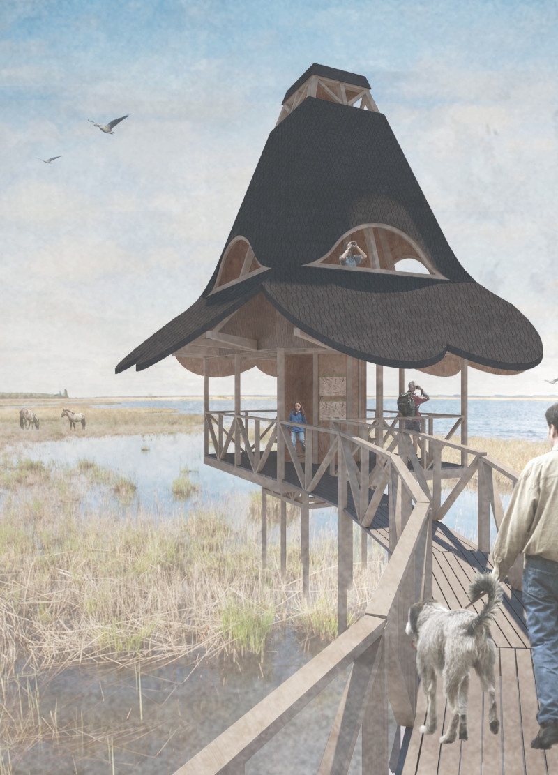 Charred Timber Cladding and Thatched Roof Merge with Marshland for Enhanced Birdwatching Experience