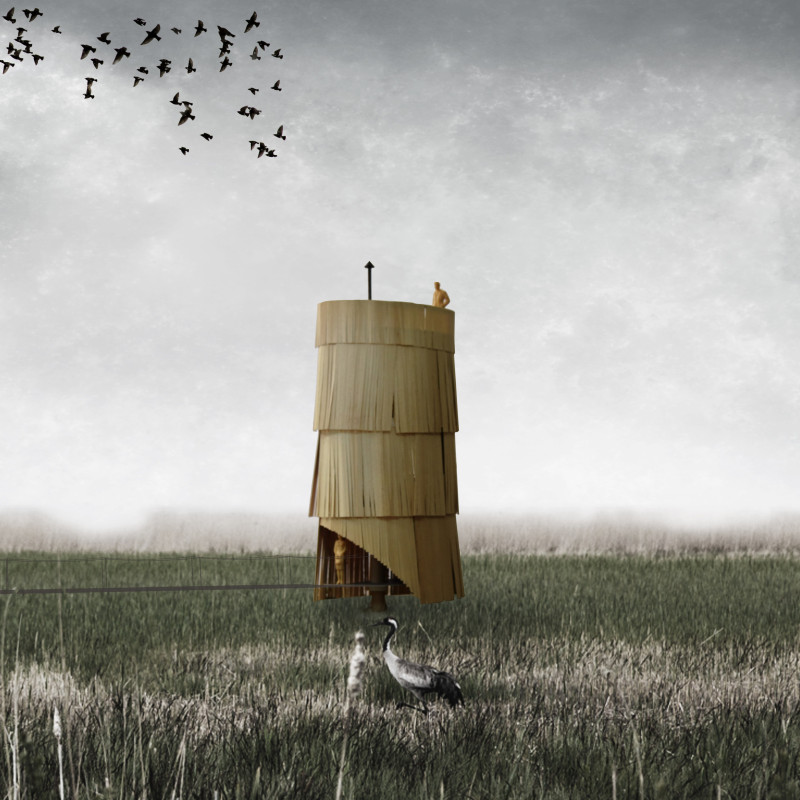 Feathered Structure of Cross-Laminated Timber Panels Nestled Within a National Park