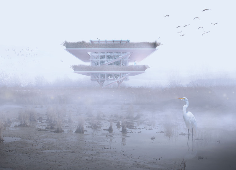 Elevated Observation Platform Featuring Sustainable Glass Facades and Native Flora Integration