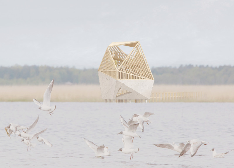 Cantilevered Viewing Platforms Crafted from Cross-Laminated Timber Overlooking Wetland Ecosystem