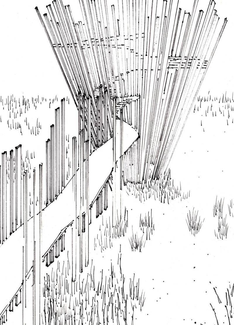 Elevated Viewing Experience Crafted from Natural Wood and Steel in Wetland Habitat