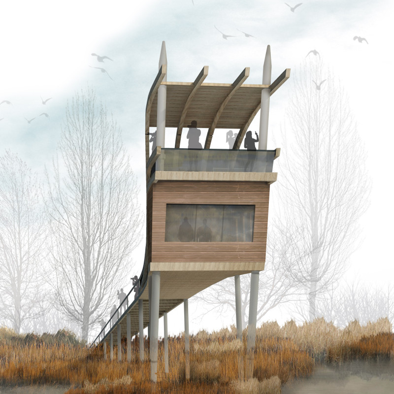 Elevated Walkway Constructed with Tempered Glass and Timber Cladding Overlooking Native Habitats