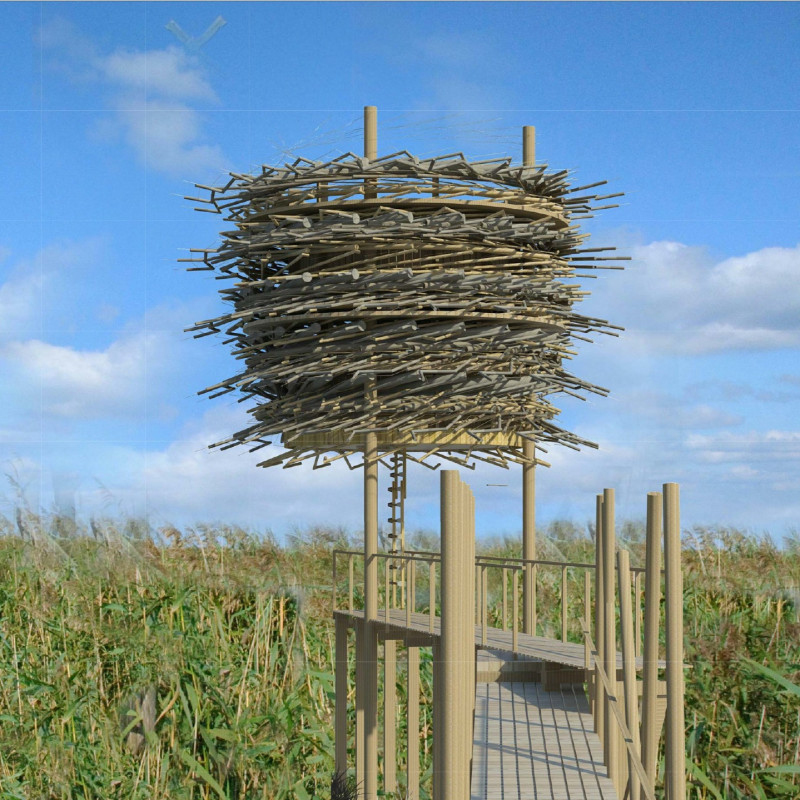 Charred Shingles and Timber Elevation Enhancing Wildlife Observation Amidst Marshland