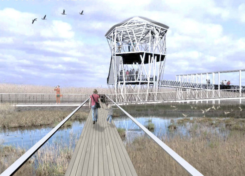 Elevated Viewing Platforms Crafted from Sustainable Timber in a Coastal Wetland Environment