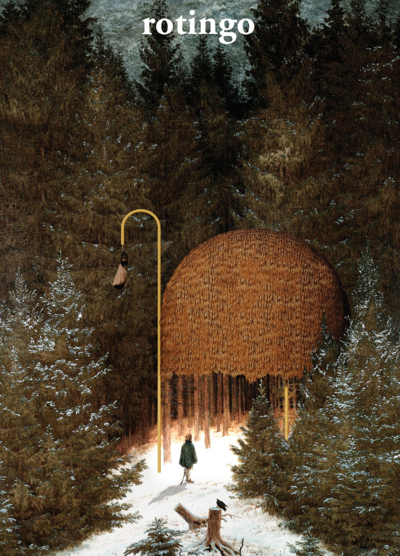 Elevated Timber Habitat Featuring Thatched Roof and Community Integration