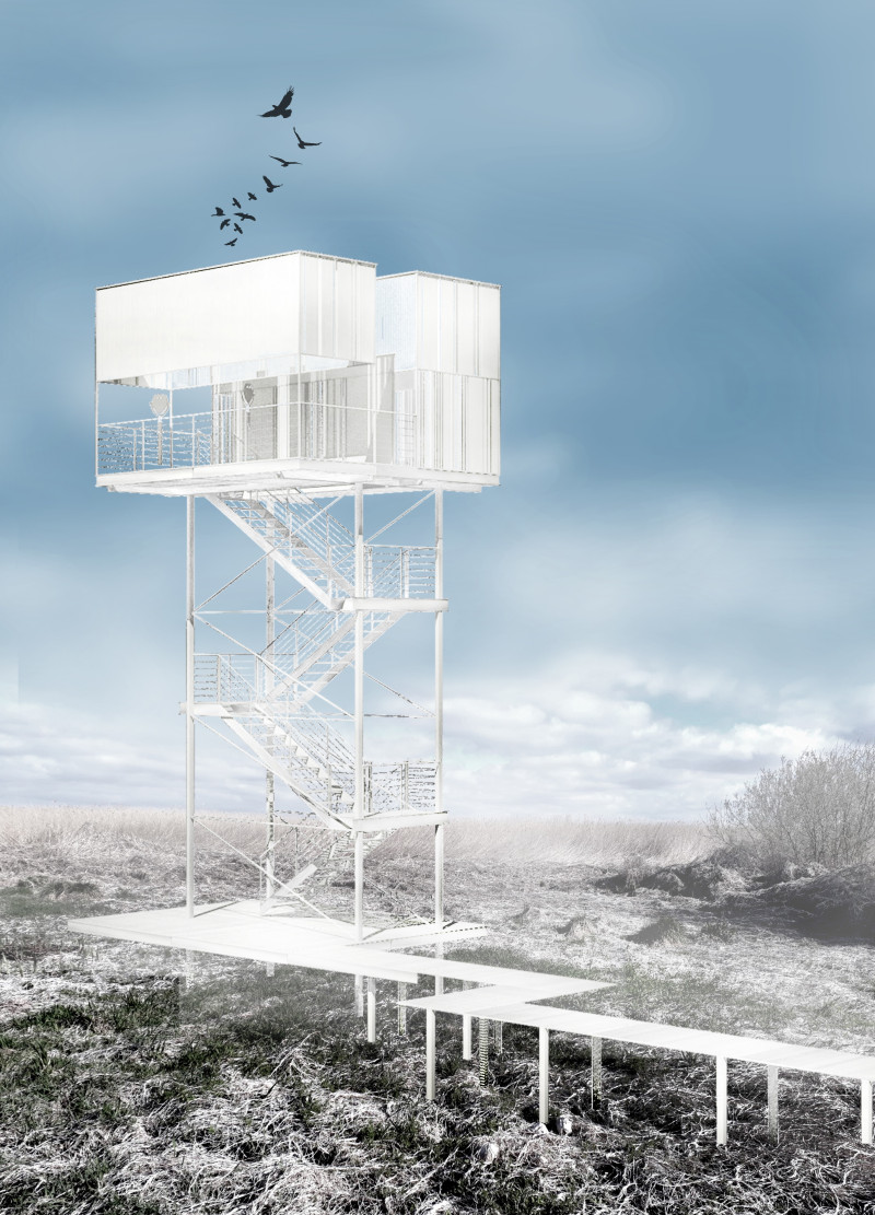 Transparent Viewing Platforms Built with Steel and Wood for Immersive Wildlife Observation