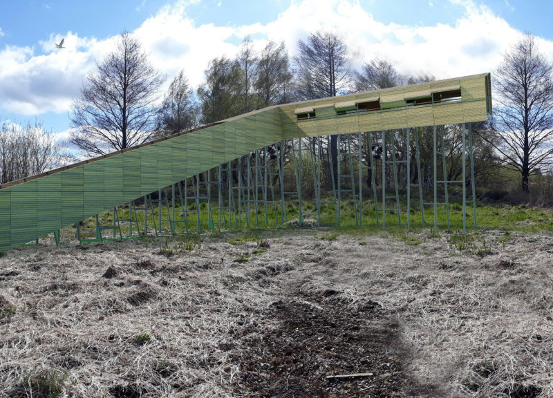 Sloped Deck Crafted from Warm Wood Cladding and Painted Steel for Immersive Wildlife Observation