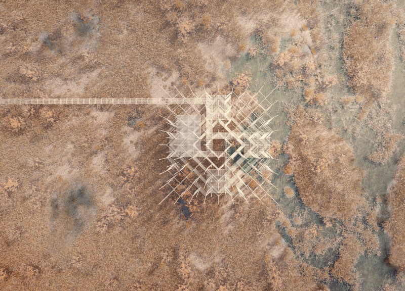 Transparent Steel and Wood Structure Embracing Marshland Views