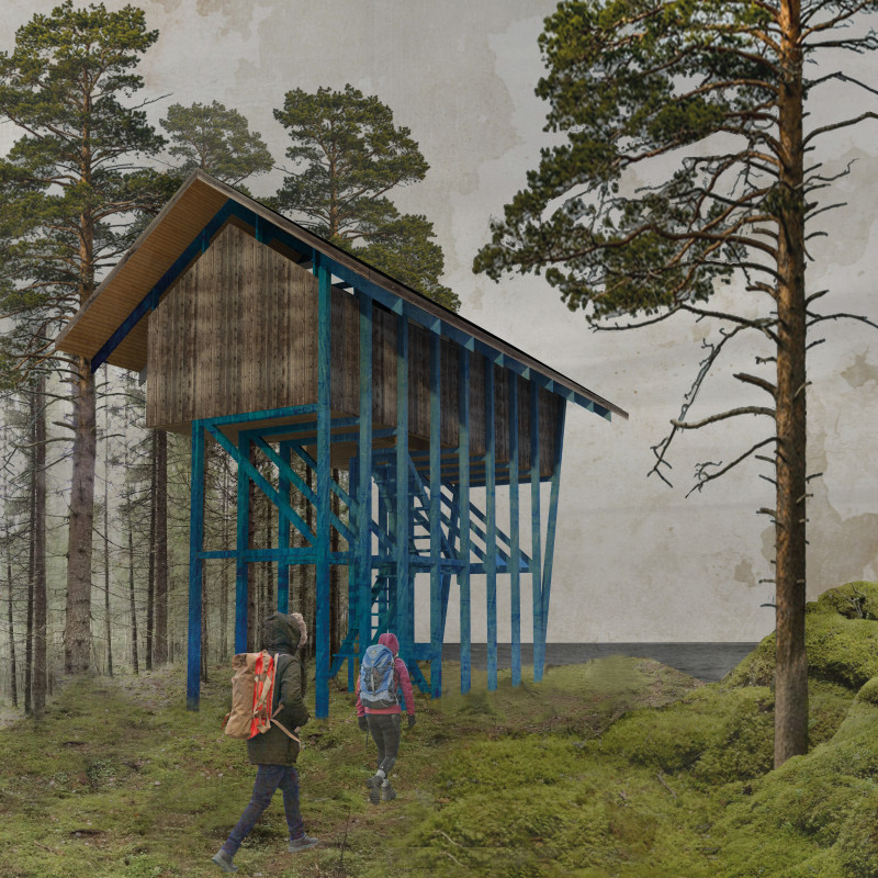 Elevated Cedar Shelter with Asymmetrical Roof Blending into Coastal Wilderness