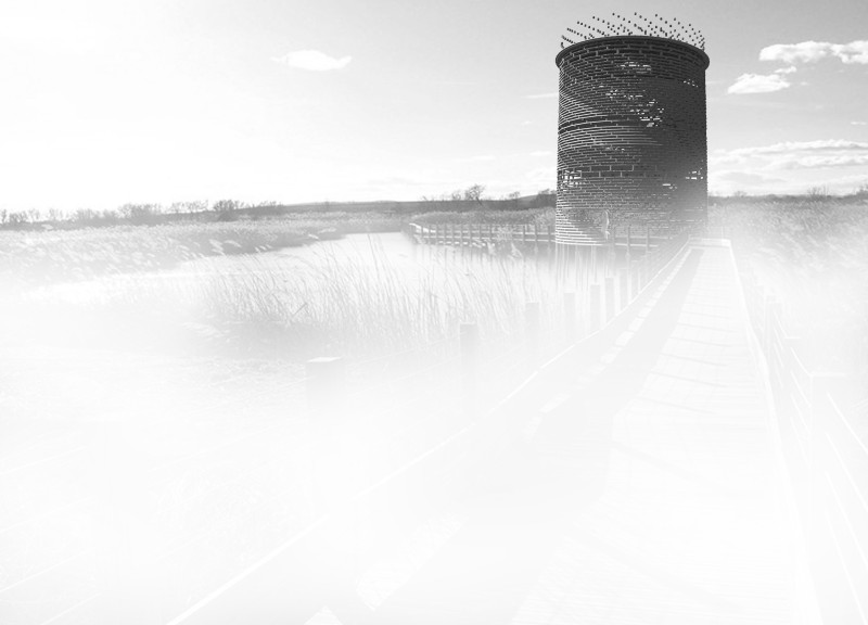 Timber Cylinders and Natural Light Create an Engaging Observation Platform in Latvia