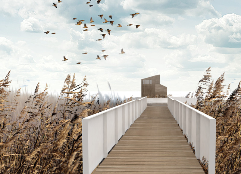 Charred Wooden Shingles Elevate a Timber Structure for Birdwatching and Ecological Engagement