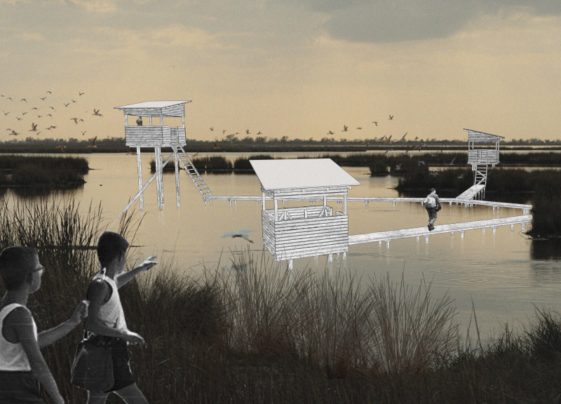 Charred Wooden Shingles and Local Timber Shape Elevated Birdwatching Structures over a Tranquil Lake