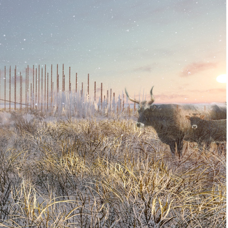 Timber Verticality and Steel Grating Create an Immersive Birdwatching Sanctuary