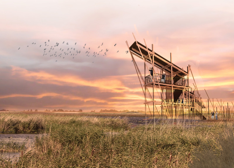 Elevated Viewing Platforms Crafted from Laminated Timber Panels Enhancing Avian Interaction