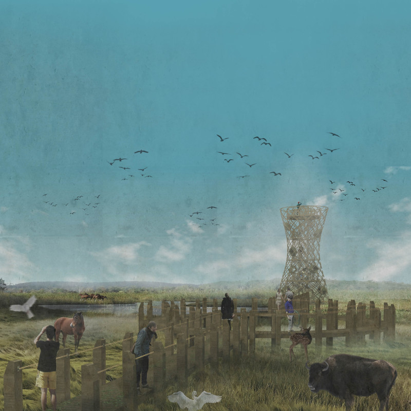 Spiraling Structure of Glulam and Steel Offers Elevated Perspectives over Pape Lake