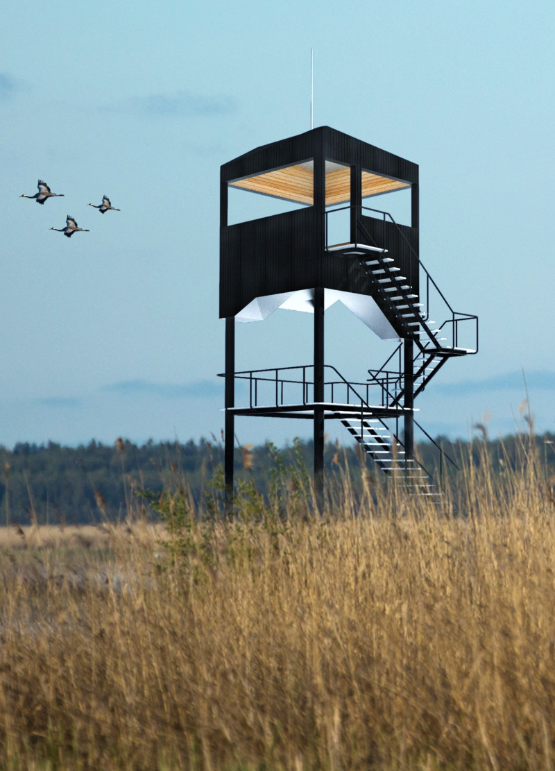 Charred Wood Shingles and Steel Framework Elevating Perspectives in Wetland Observation