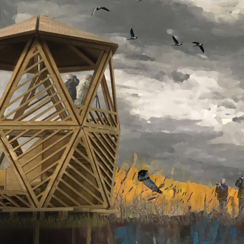 Floating Ecosystems and Curvilinear Pathways with Treated Timber Structures for Enhanced Birdwatching Experiences