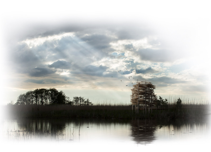 Elevated Observation Structure with Charred Wooden Shingles and Timber Integration for Habitat Preservation