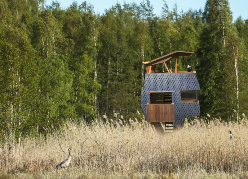 Elevated Viewing Platform Constructed from Structural Insulated Panels and Durable Hardwood Timber