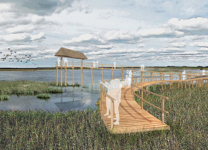 Thatched Roof and Accessible Ramps Enhance Timber Observation Structure in Natural Habitat