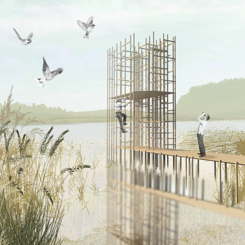 Elevated Lattice Platform Crafted from Reclaimed Wood for Wildlife Observation