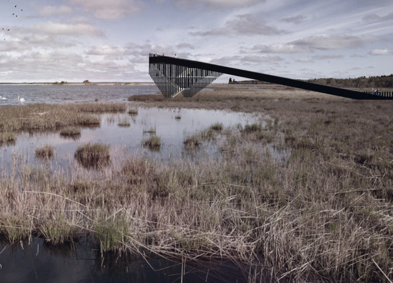 Charred Wood Integration in a Contextual Linear Promenade for Avian Observation