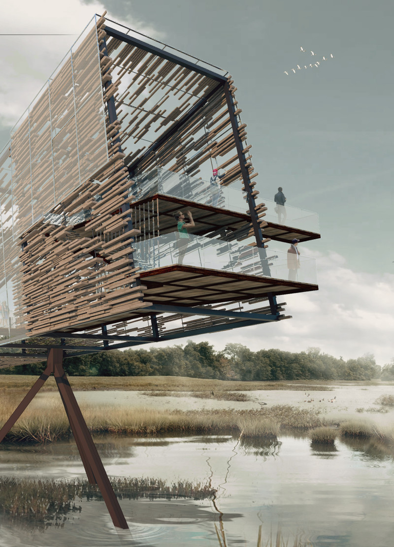 Skeletal Structure of Charred Wood and Glass Enhancing Avian Observation in Natural Habitat