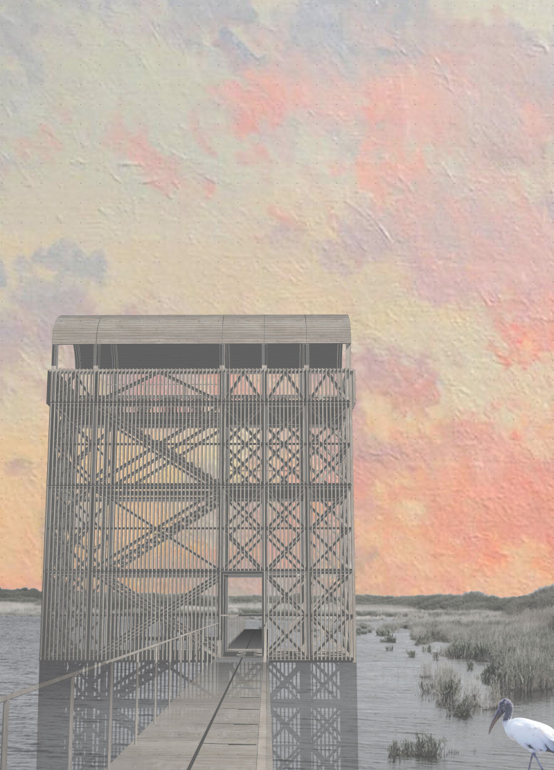 Trellis Structure Featuring Transparent Glass and Sustainable Wood Within Wetland Ecosystem